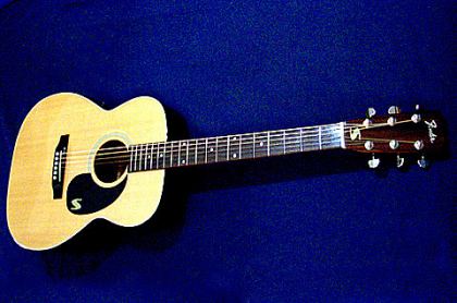 Fender F-25