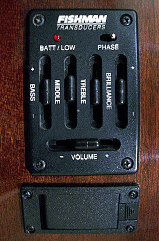 Fender F-25